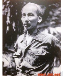tranh bac ho 01